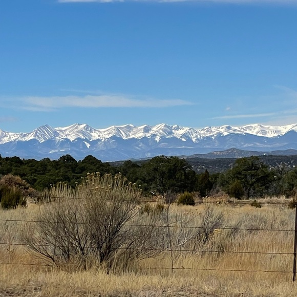 Meet your Posher, Mellissa - Picture 2 of 12